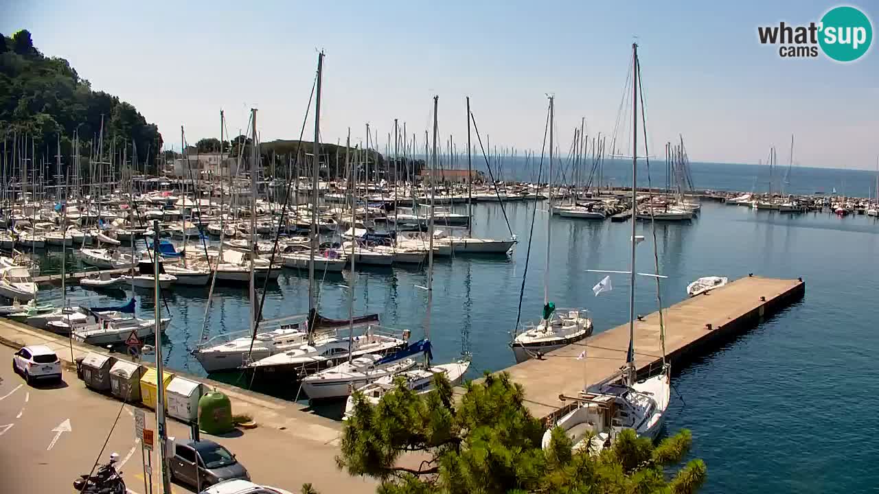 Webcam Bahía de Sistiana – Vista en directo del puerto deportivo y la costa