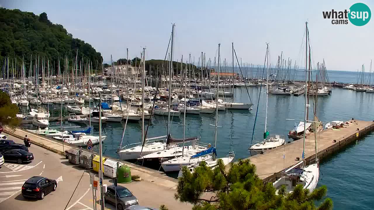 Webcam Sistiana Baia – Live View of the Marina and Gulf