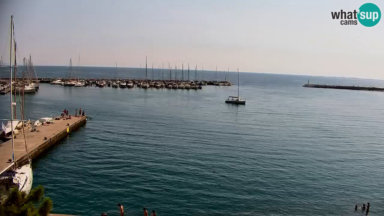 Spletna kamera Sesljanski zaliv – Pogled v živo na marino in zaliv