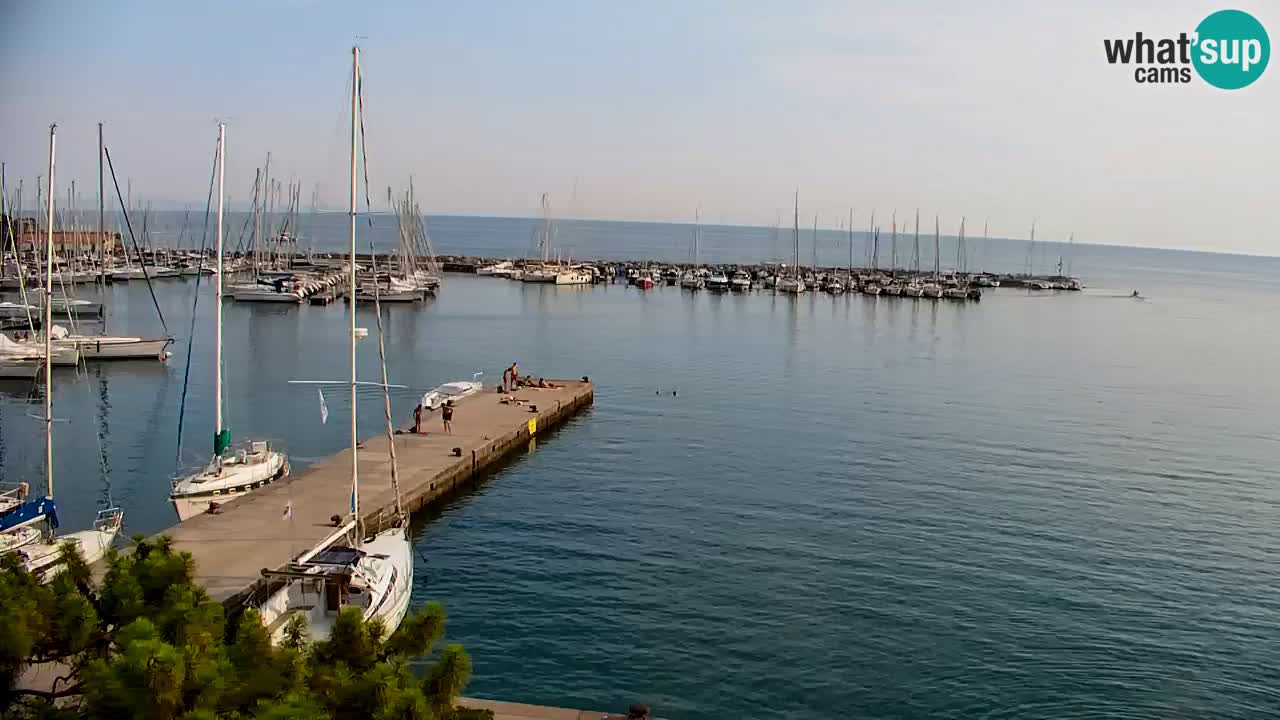 Spletna kamera Sesljanski zaliv – Pogled v živo na marino in zaliv