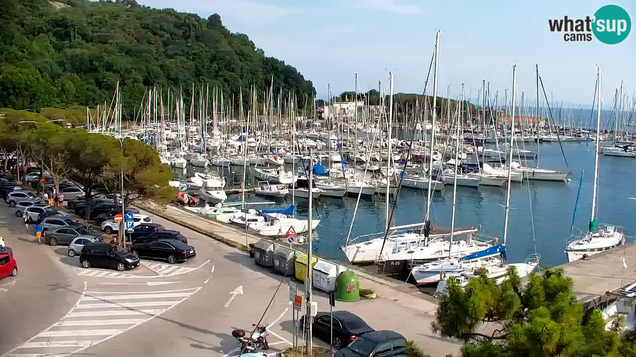 Webcam Sistiana Baia – Live View of the Marina and Gulf