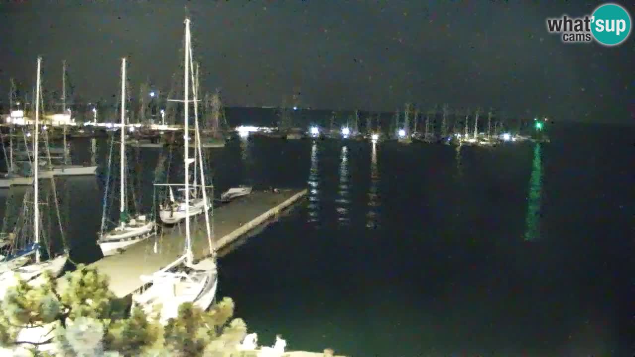 Webcam Sistiana Baia – Live View of the Marina and Gulf