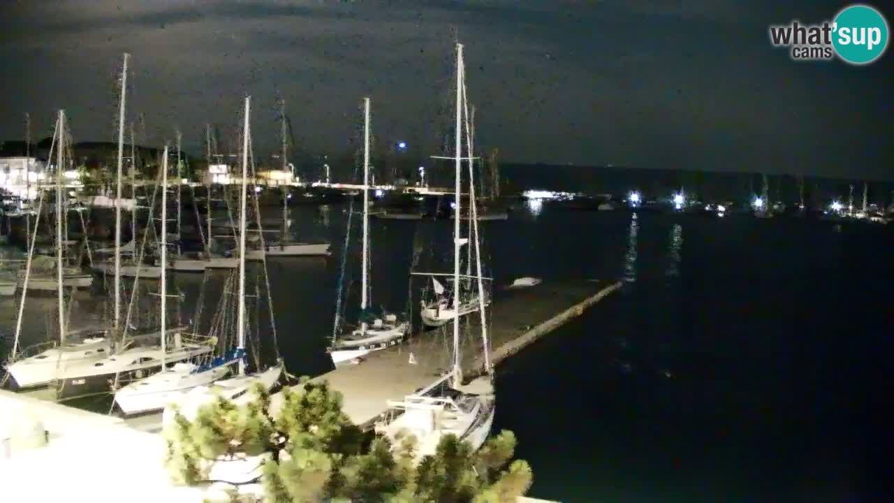 Webcam Sistiana Baia – Live View of the Marina and Gulf