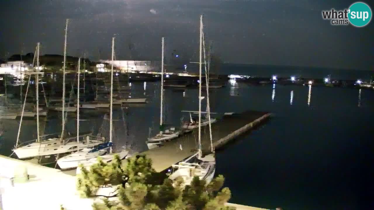 Webcam Sistiana Baia – Live View of the Marina and Gulf