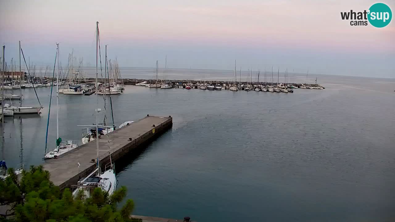 Webcam Sistiana Baia – Live View of the Marina and Gulf