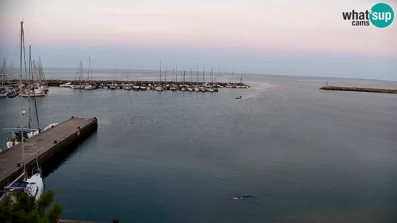 Webcam Sistiana Baia – Live View of the Marina and Gulf