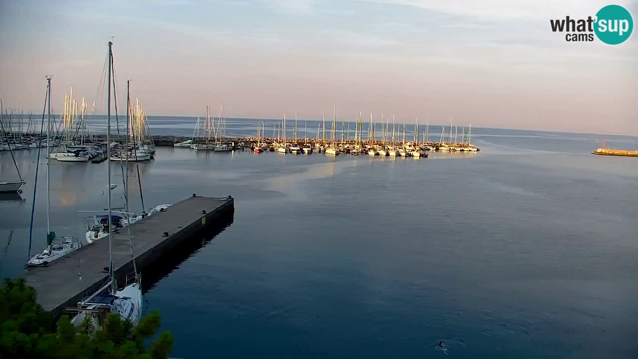 Webcam Sistiana Baia – Live View of the Marina and Gulf