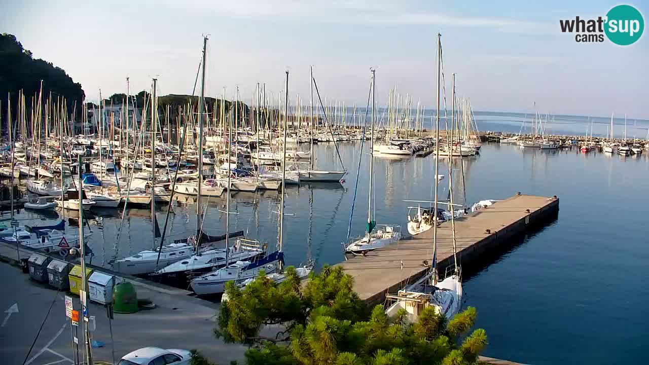 Webcam Sistiana Baia – Live View of the Marina and Gulf
