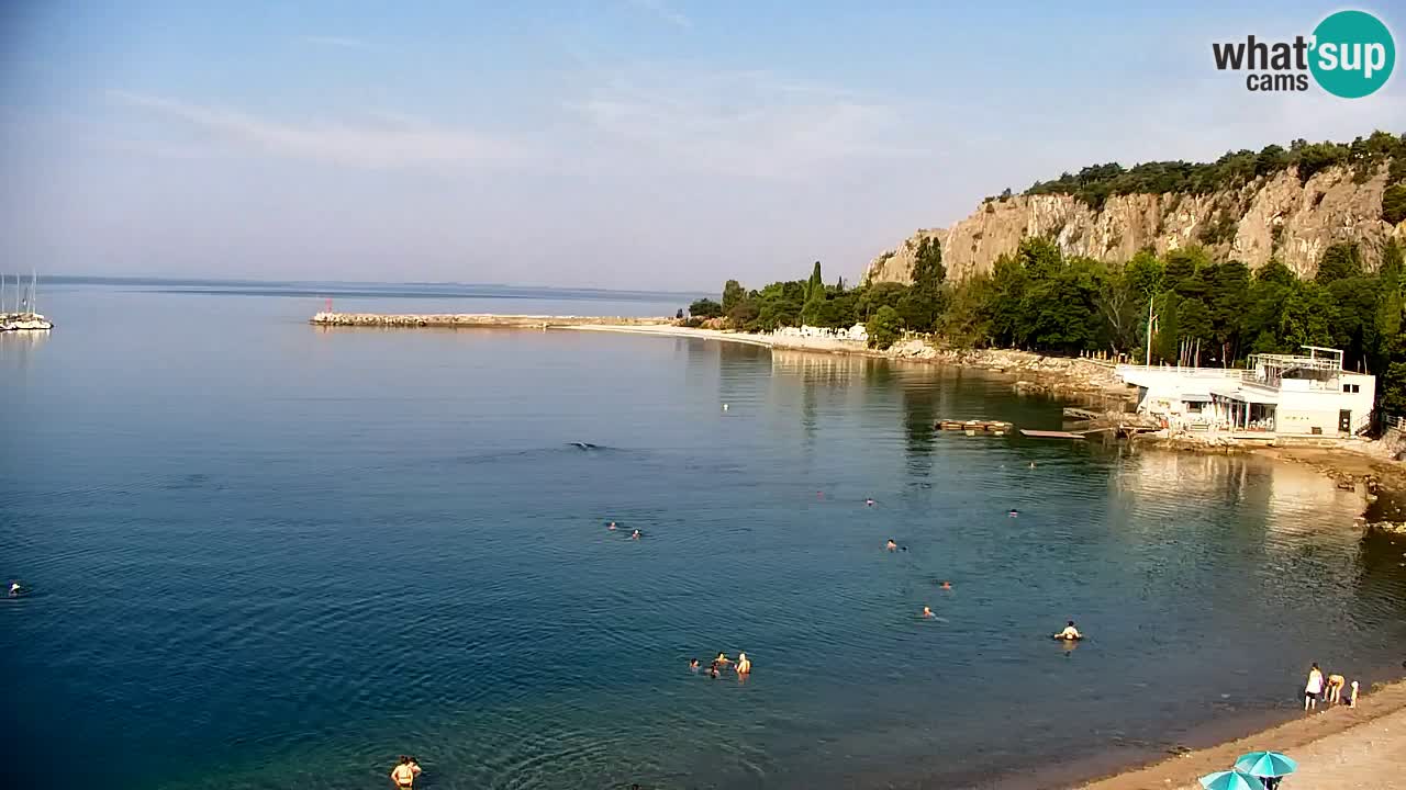 Webcam Sistiana Baia – Live View of the Marina and Gulf