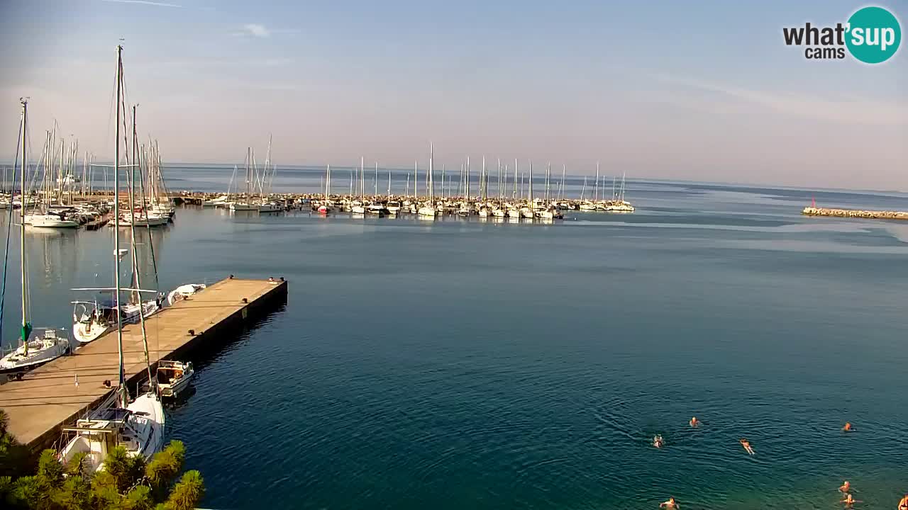 Webcam Sistiana Baia – Live View of the Marina and Gulf