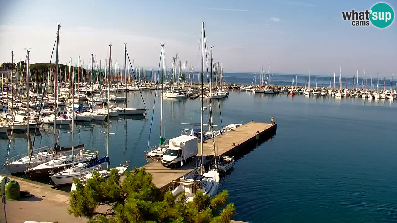 Web kamera Sistiana Uvala – Pogled uživo na marinu i zaljev