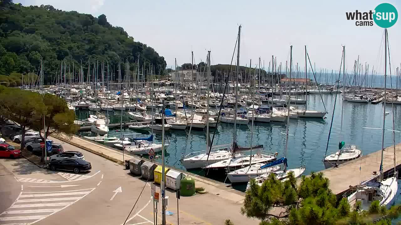Webcam Bahía de Sistiana – Vista en directo del puerto deportivo y la costa