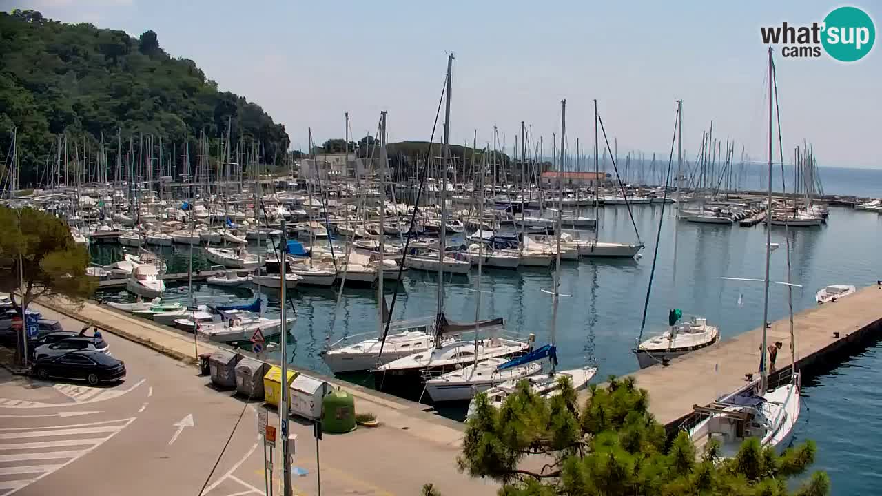 Webcam Bahía de Sistiana – Vista en directo del puerto deportivo y la costa