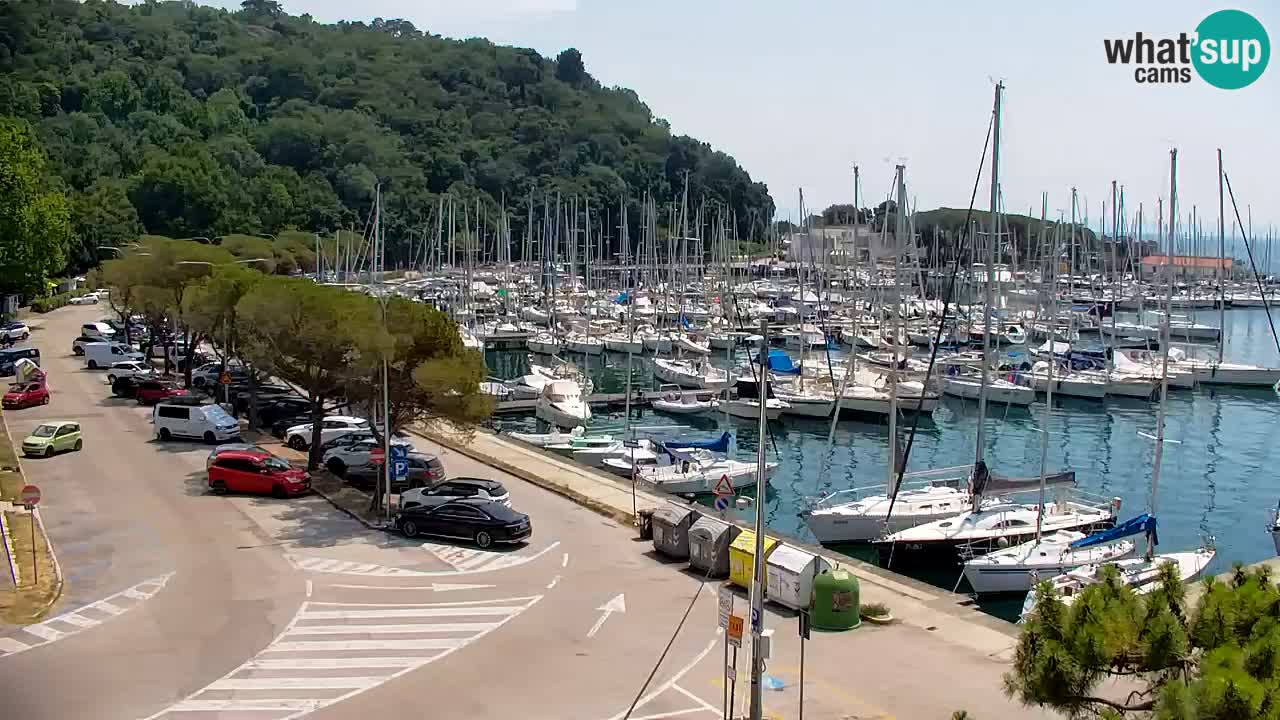 Webcam Sistiana Baia – Live View of the Marina and Gulf