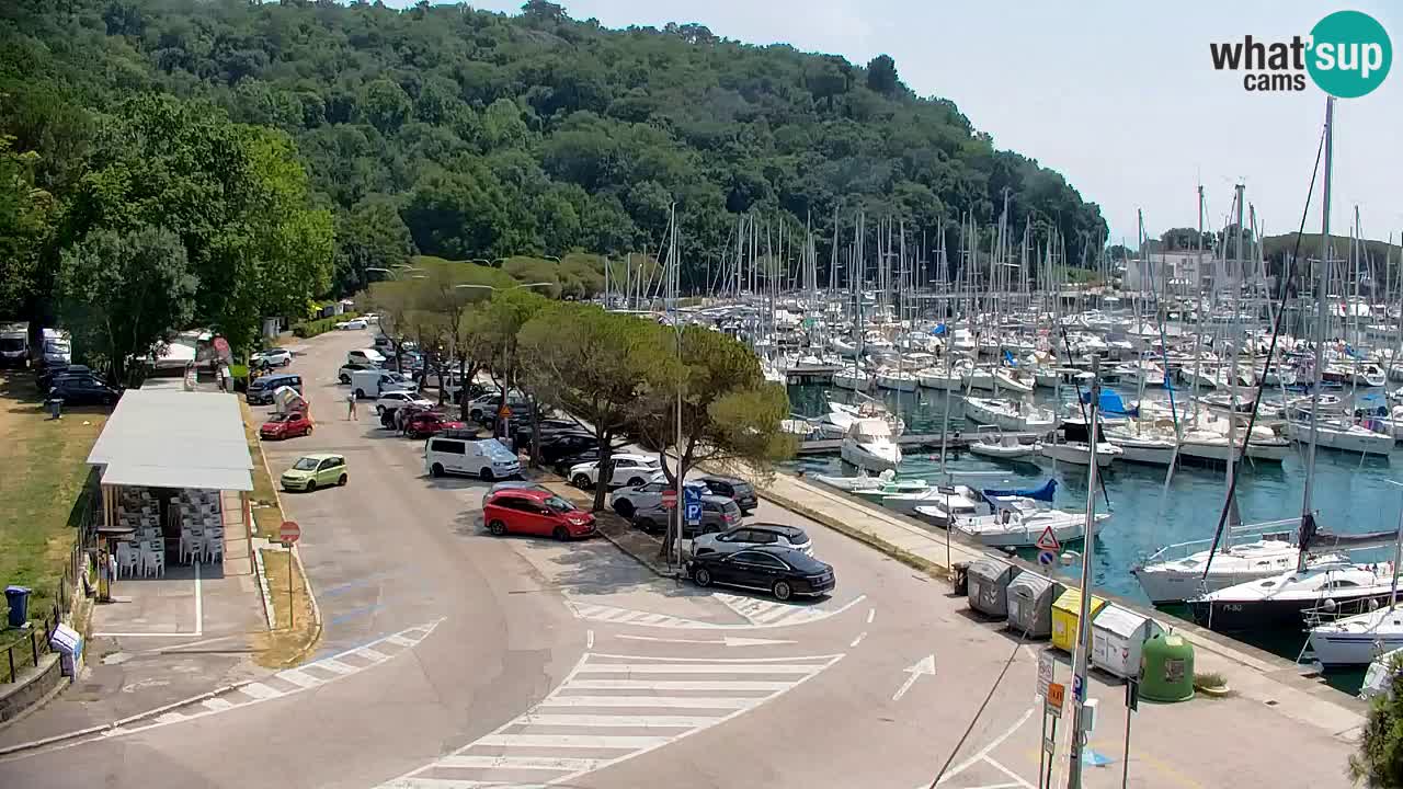 Webcam Baie de Sistiana – Vue en direct de la marina et de la baie