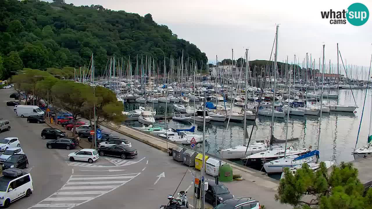 Web kamera Sistiana Uvala – Pogled uživo na marinu i zaljev