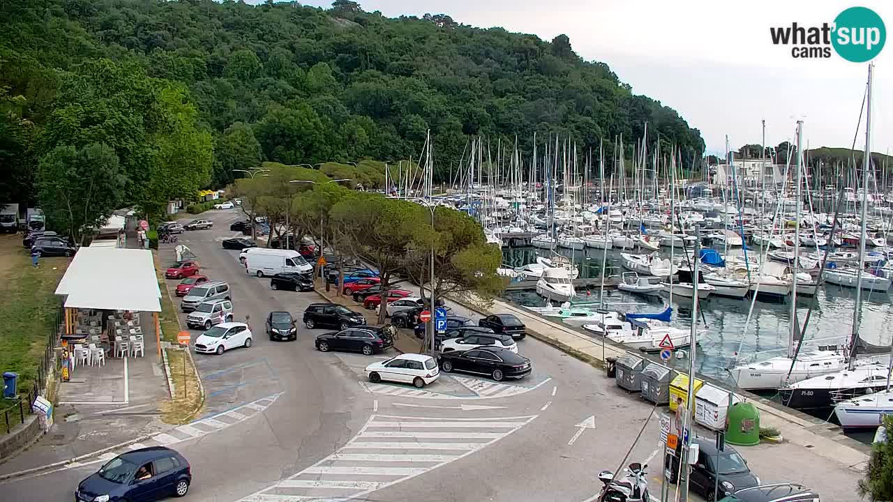 Webcam Bahía de Sistiana – Vista en directo del puerto deportivo y la costa