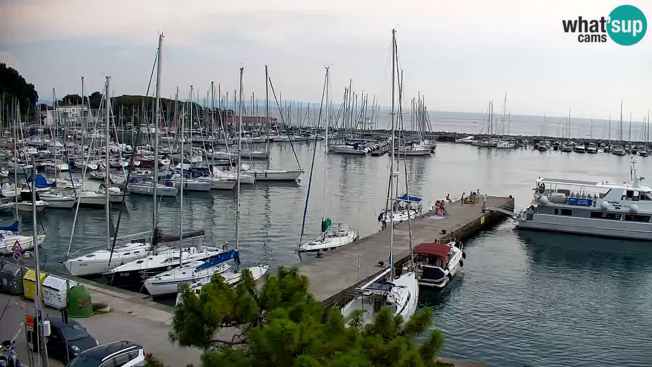 Webcam Sistiana Baia – Live View of the Marina and Gulf