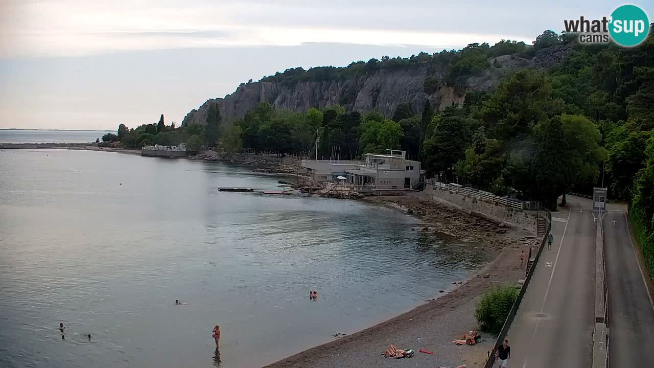 Webcam Sistiana Baia – Live View of the Marina and Gulf