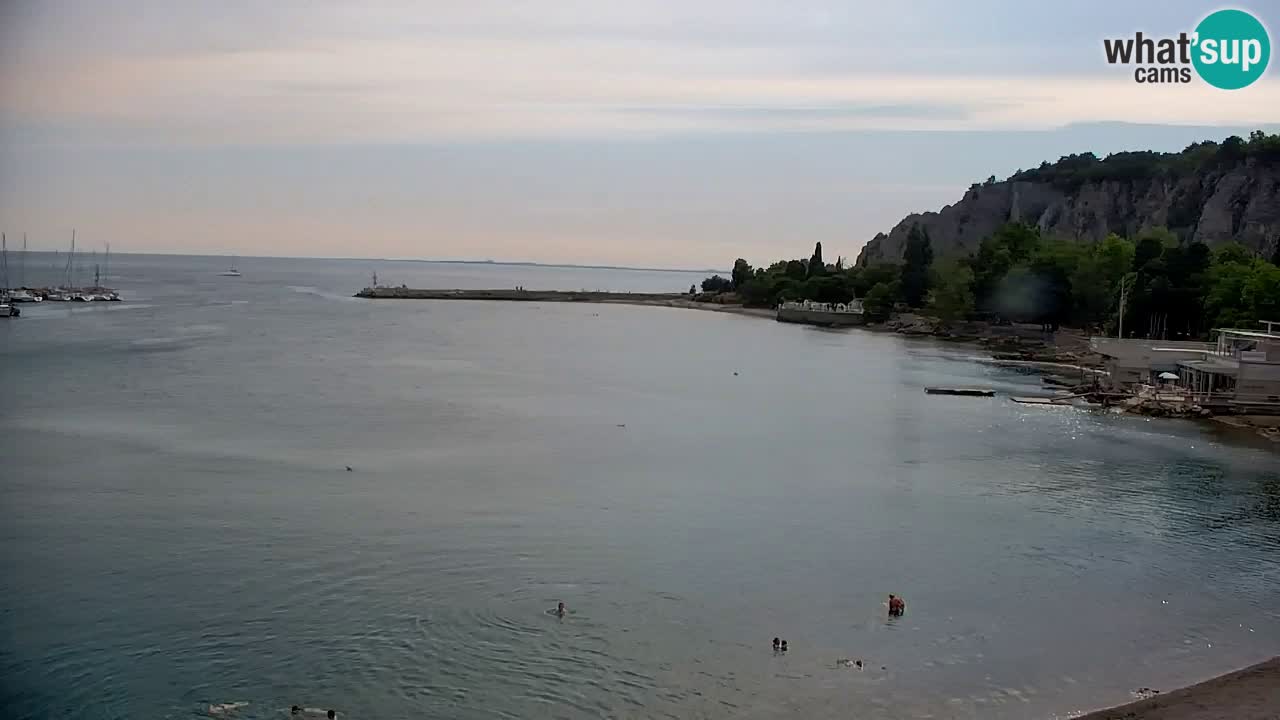 Spletna kamera Sesljanski zaliv – Pogled v živo na marino in zaliv