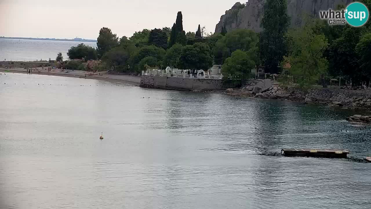 Webcam Bahía de Sistiana – Vista en directo del puerto deportivo y la costa