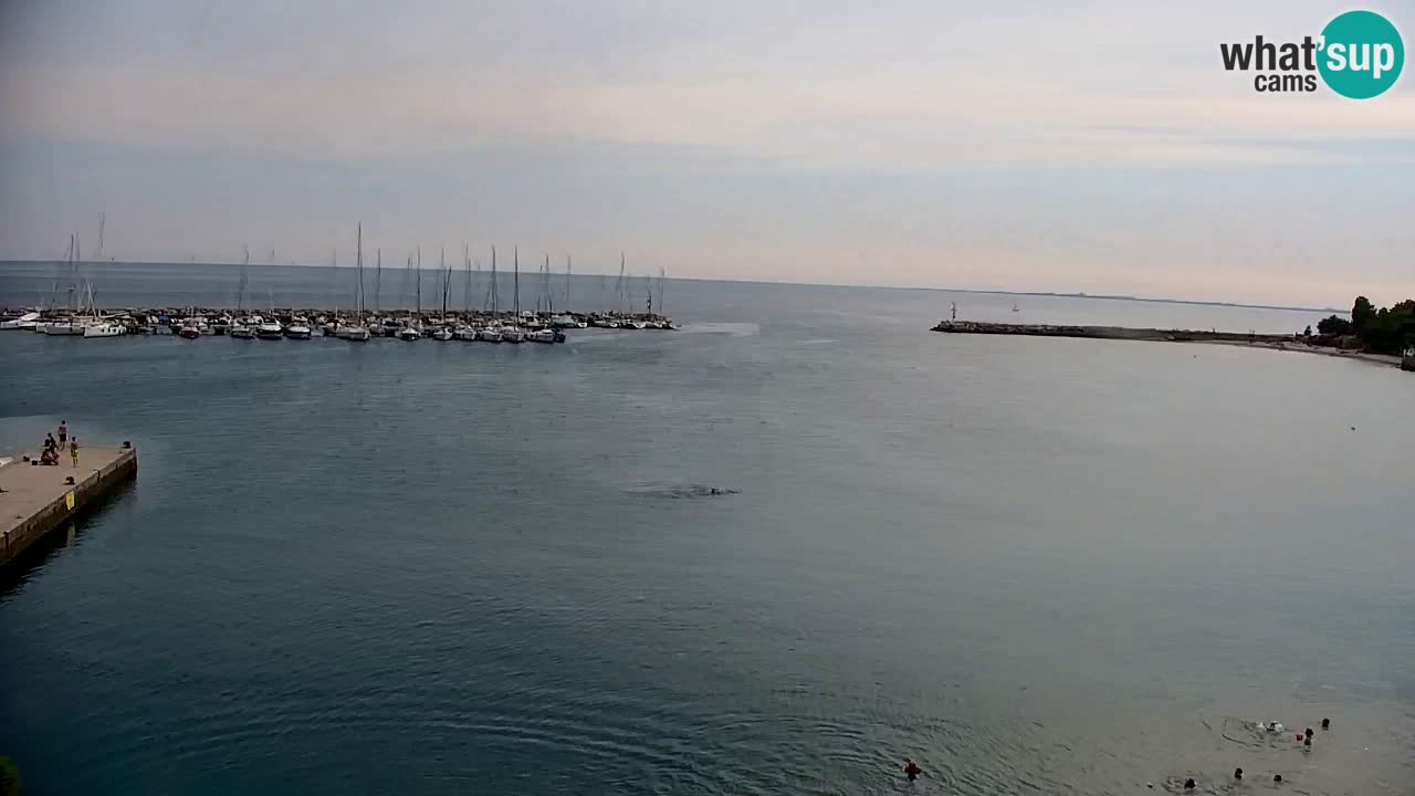 Webcam Baie de Sistiana – Vue en direct de la marina et de la baie