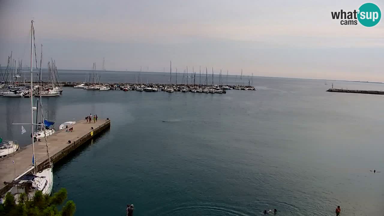 Webcam Sistiana Baia – Live View of the Marina and Gulf