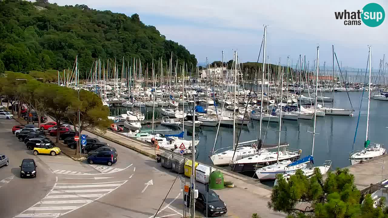 Webcam Sistiana Baia – Live View of the Marina and Gulf