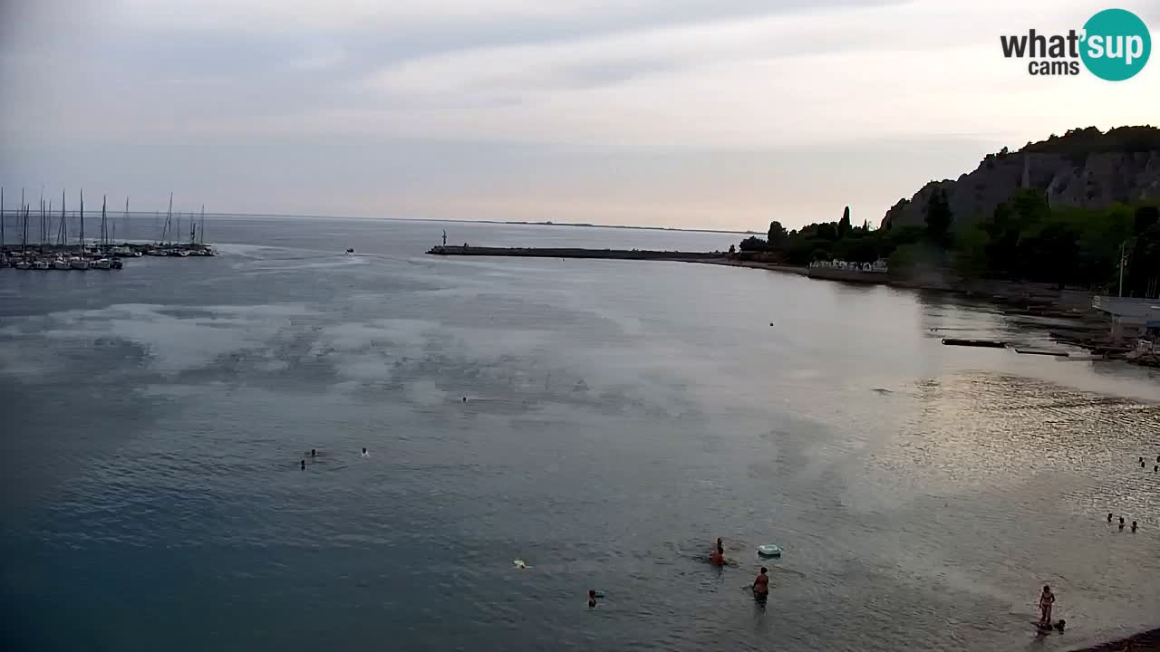 Webcam Sistiana Baia – Live View of the Marina and Gulf