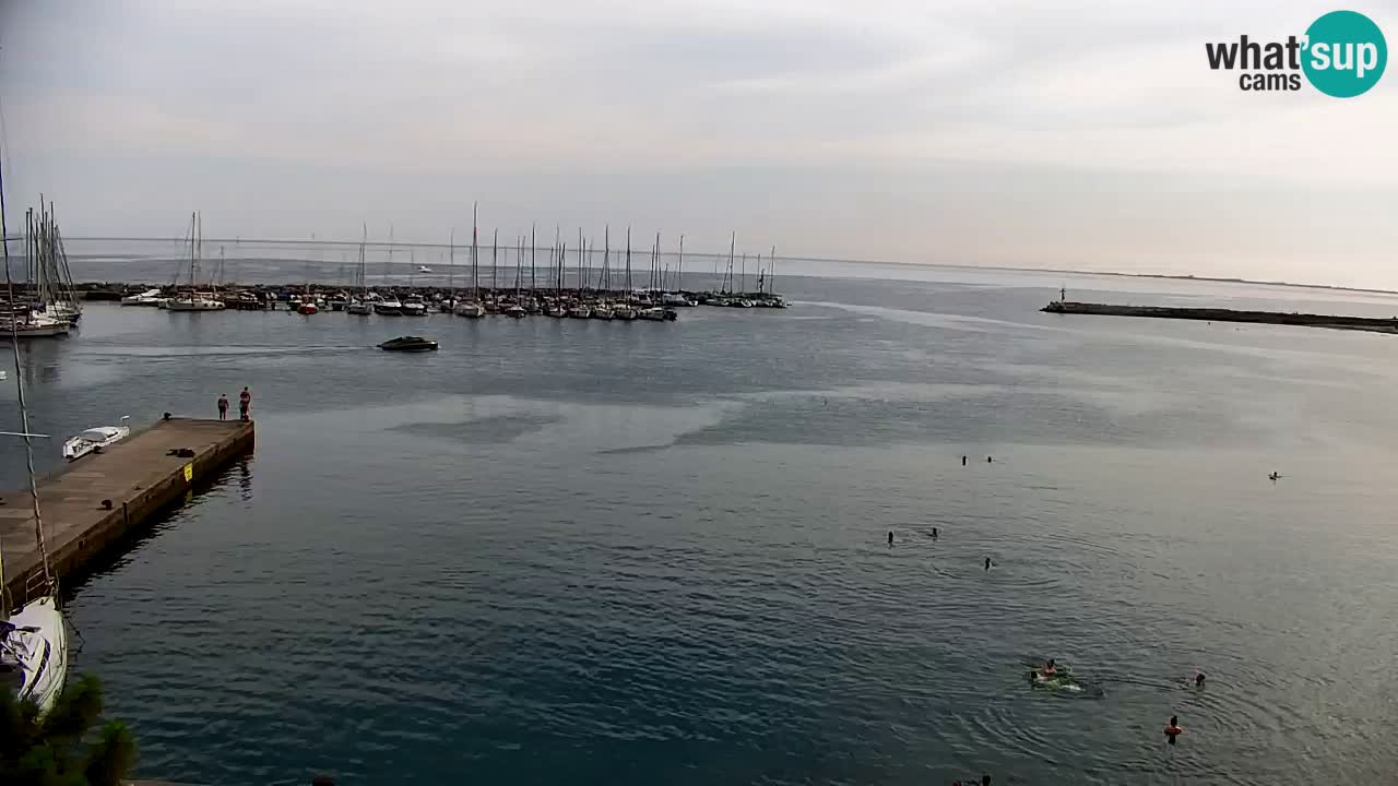 Spletna kamera Sesljanski zaliv – Pogled v živo na marino in zaliv