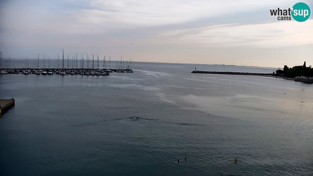 Web kamera Sistiana Uvala – Pogled uživo na marinu i zaljev