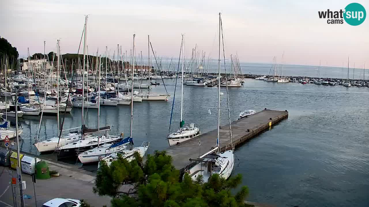 Webcam Bahía de Sistiana – Vista en directo del puerto deportivo y la costa