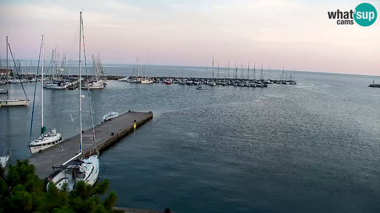 Webcam Sistiana Baia – Live View of the Marina and Gulf