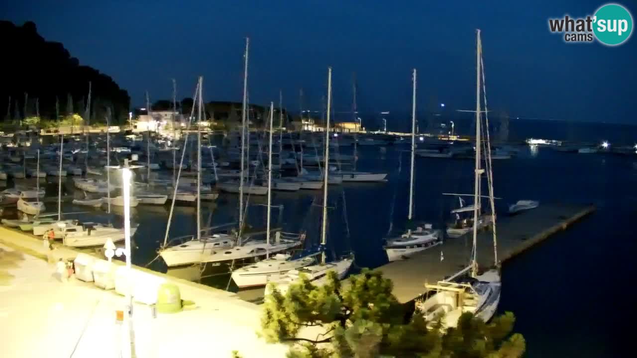 Webcam Bahía de Sistiana – Vista en directo del puerto deportivo y la costa