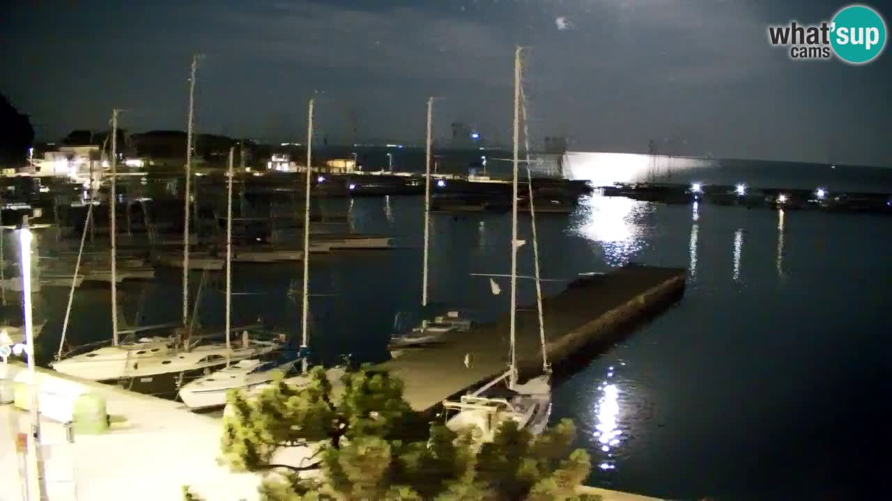 Webcam Bahía de Sistiana – Vista en directo del puerto deportivo y la costa