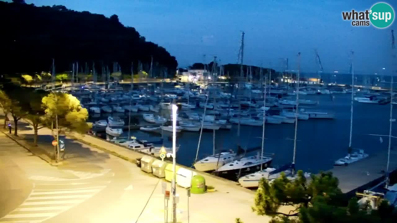 Webcam Bahía de Sistiana – Vista en directo del puerto deportivo y la costa