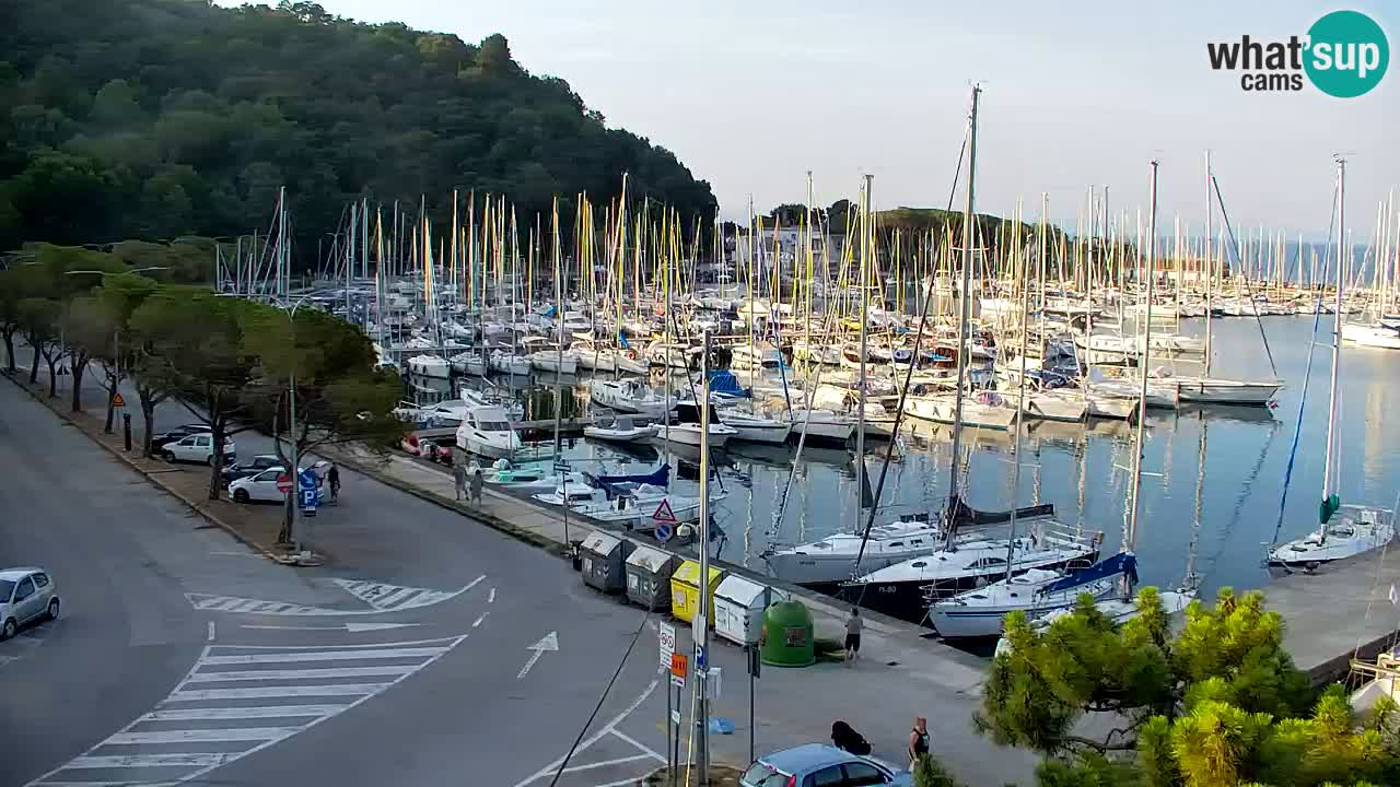 Webcam Bahía de Sistiana – Vista en directo del puerto deportivo y la costa