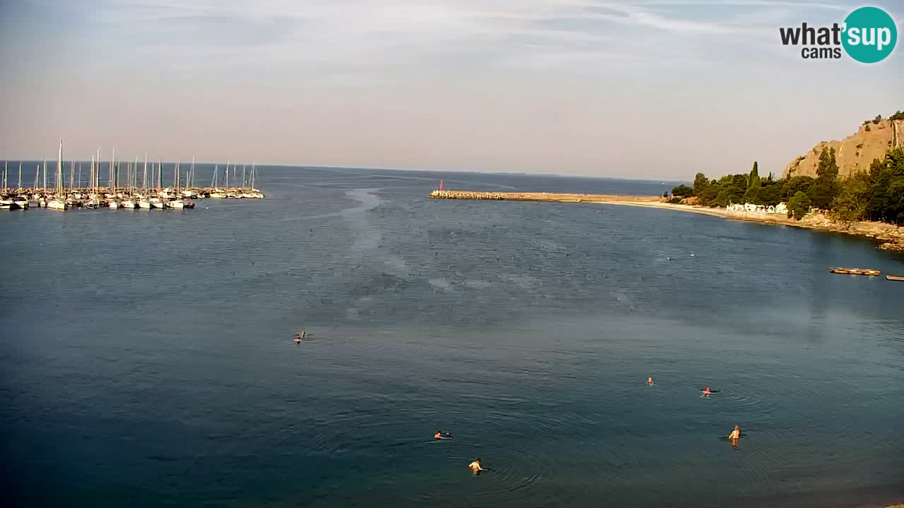 Webcam Sistiana Baia – Live View of the Marina and Gulf