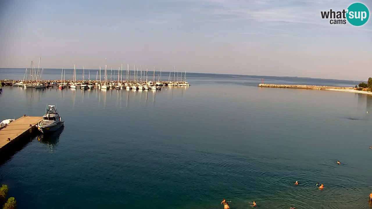 Webcam Bahía de Sistiana – Vista en directo del puerto deportivo y la costa