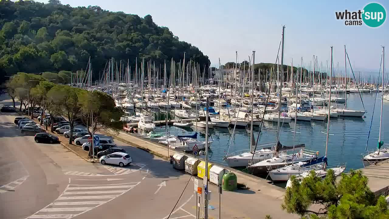 Webcam Sistiana Baia – Live View of the Marina and Gulf