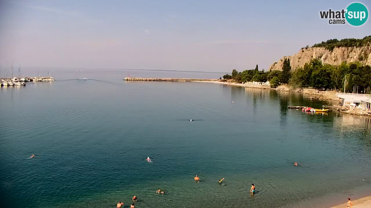 Webcam Bahía de Sistiana – Vista en directo del puerto deportivo y la costa