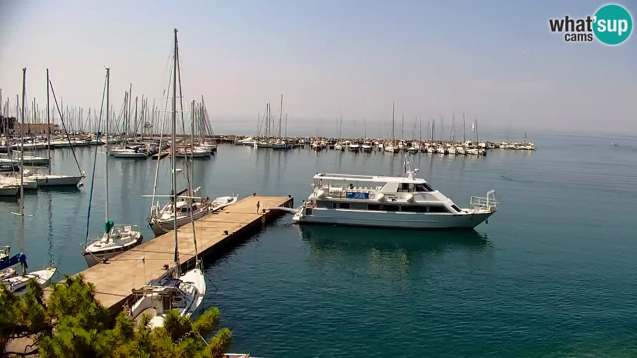 Web kamera Sistiana Uvala – Pogled uživo na marinu i zaljev