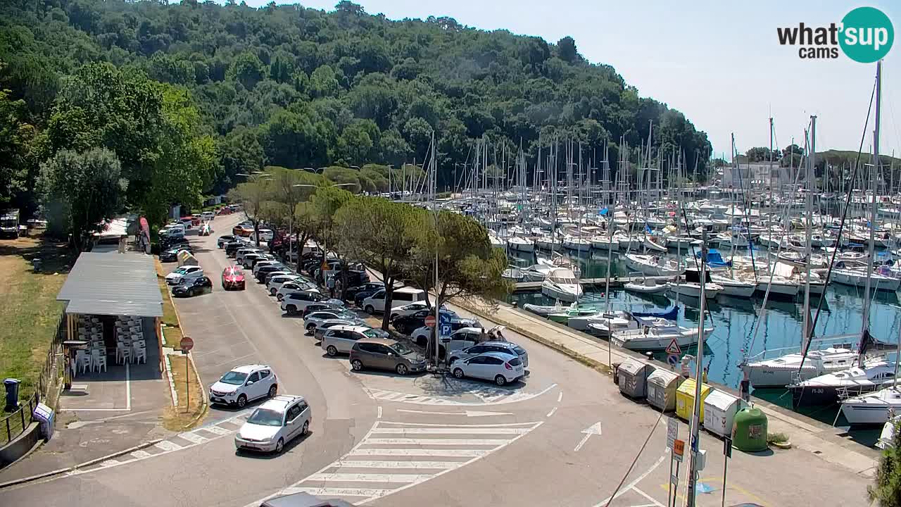 Webcam Bahía de Sistiana – Vista en directo del puerto deportivo y la costa