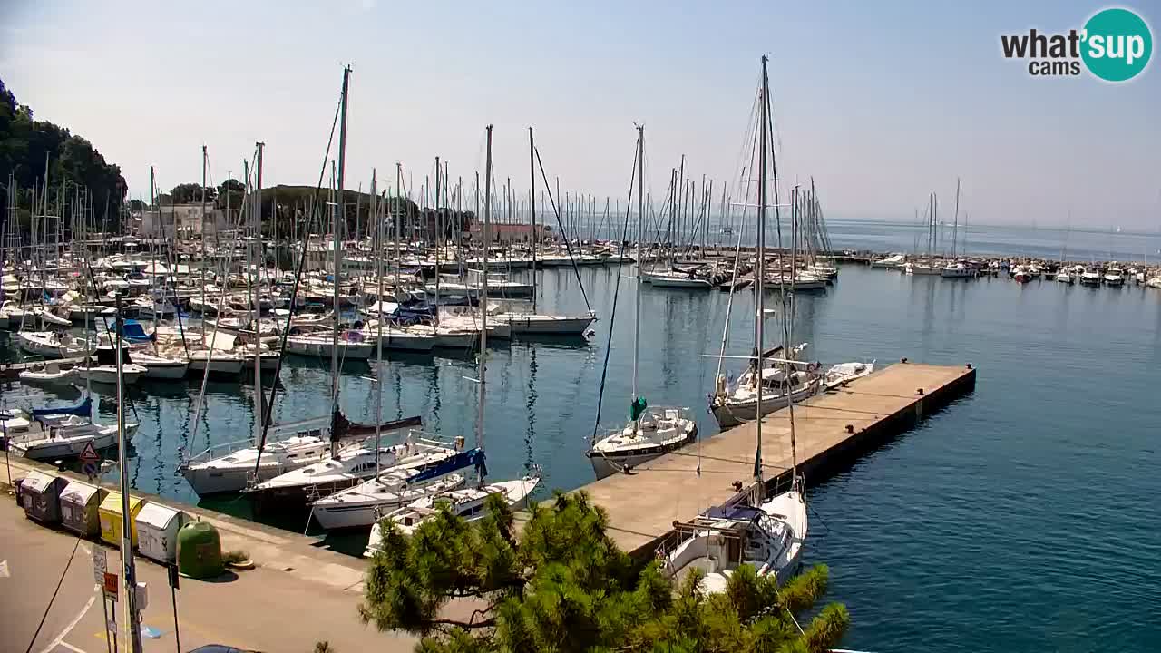 Webcam Sistiana Baia – Live View of the Marina and Gulf