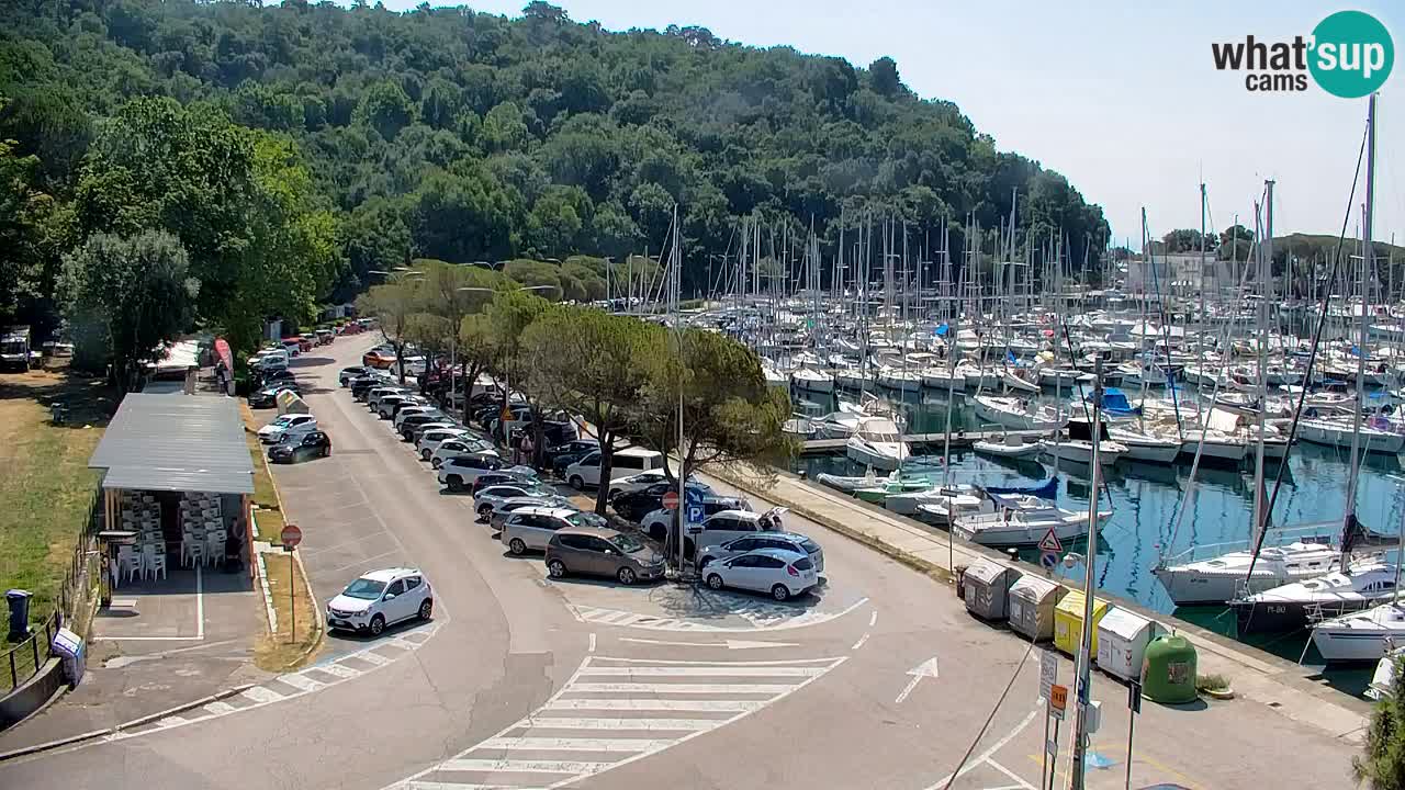 Webcam Bahía de Sistiana – Vista en directo del puerto deportivo y la costa