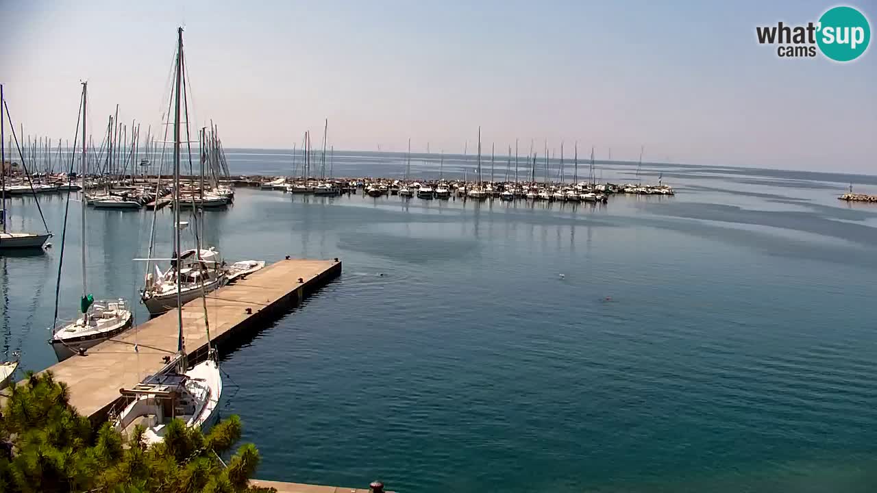 Webcam Sistiana Baia – Live View of the Marina and Gulf