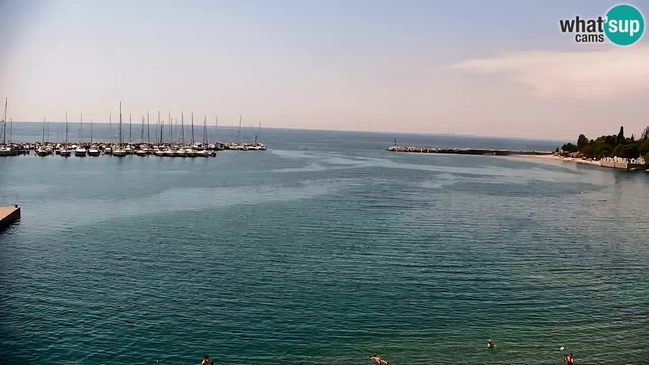 Spletna kamera Sesljanski zaliv – Pogled v živo na marino in zaliv