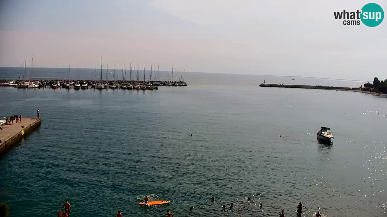 Webcam Sistiana Baia – Live View of the Marina and Gulf