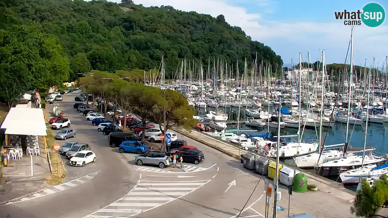 Webcam Bahía de Sistiana – Vista en directo del puerto deportivo y la costa