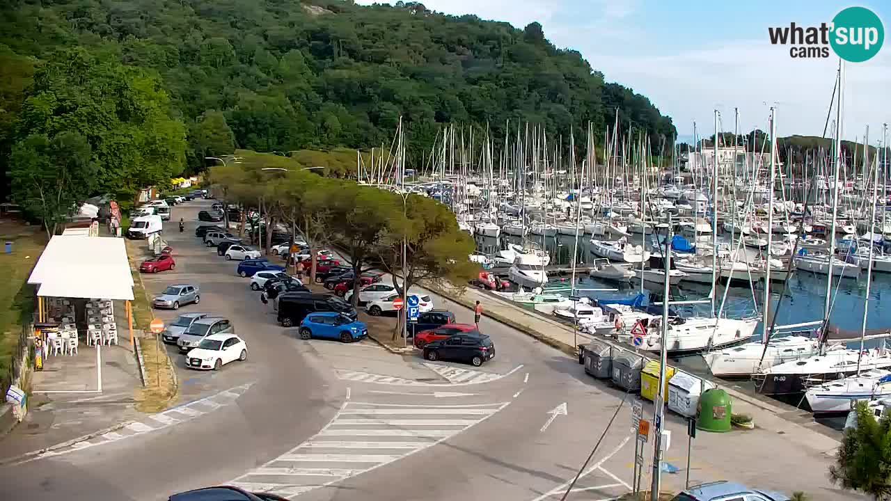 Webcam Sistiana Baia – Live View of the Marina and Gulf